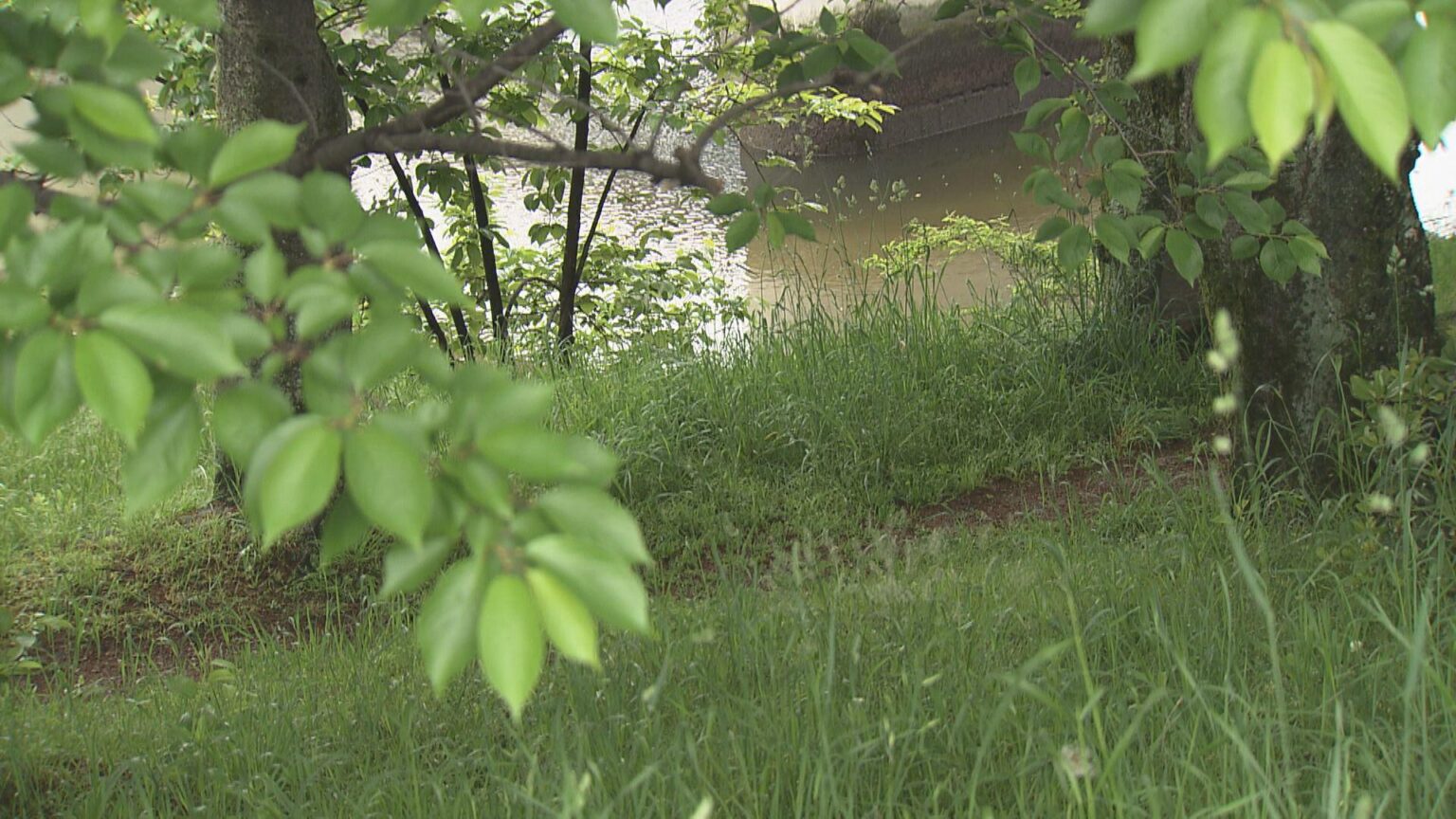 酒やめないノーモララー 母が殺めるまで