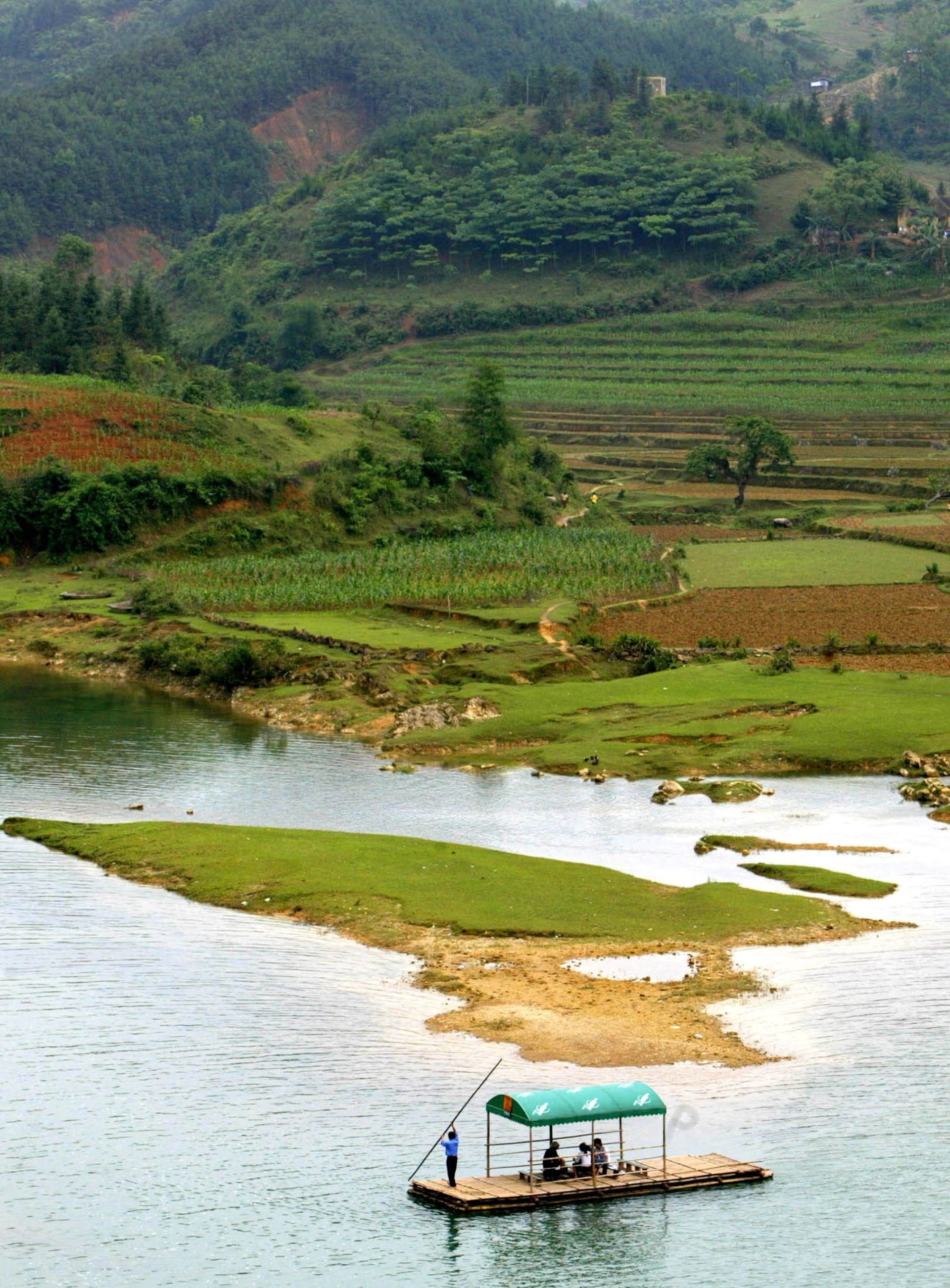 中国大豆輸入、今年は過去最高か　ブラジル産購入や米との貿易休戦で