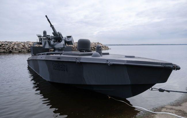 ルーマニア軍、黒海でシーベイビー無人機を破壊