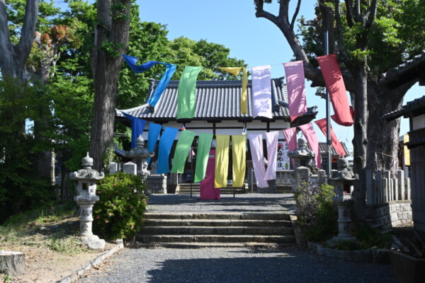 玉田神社参道のカーテン　2024年5月11日　撮影：MKタクシー