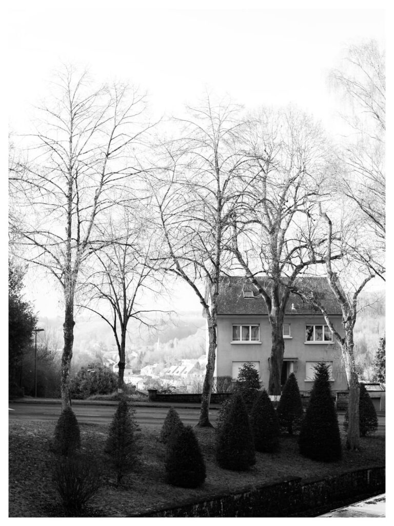 月曜日の午後、白黒