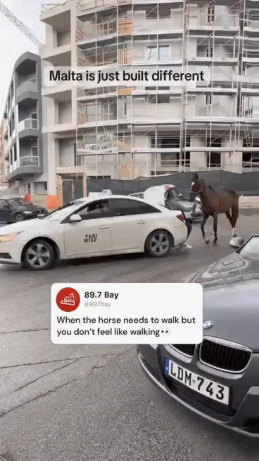 このビデオではすべてが第 3 世界を叫んでいます