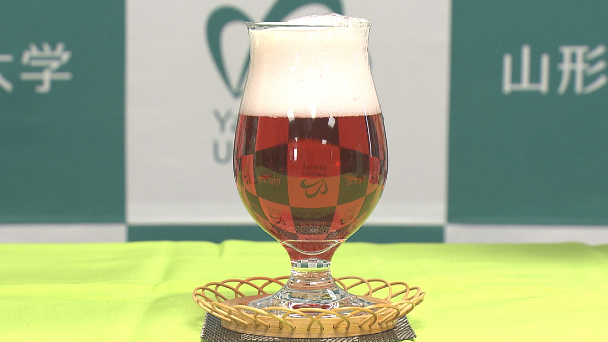 市場に出回らない山形県産サクランボを使ったクラフトビールを山形大学の学生が開発