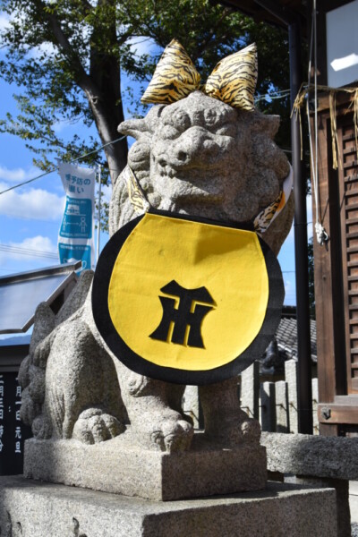 阪神タイガース仕様の狛犬　2023年10月28日　撮影：MKタクシー