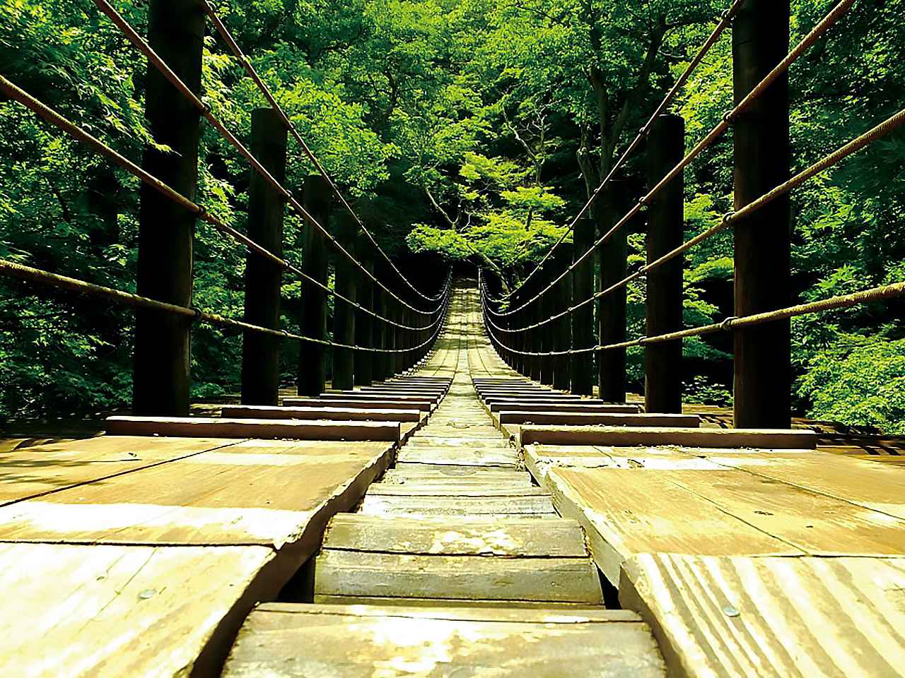 画像: 花貫渓谷／花貫川沿いに大小の滝と淵が続く自然美豊かな景勝地。名馬里ヶ淵から小滝沢キャンプ場まで遊歩道が整い、汐見滝吊り橋から望む紅葉は圧巻で、秋には紅葉まつりやライトアップも行われる。