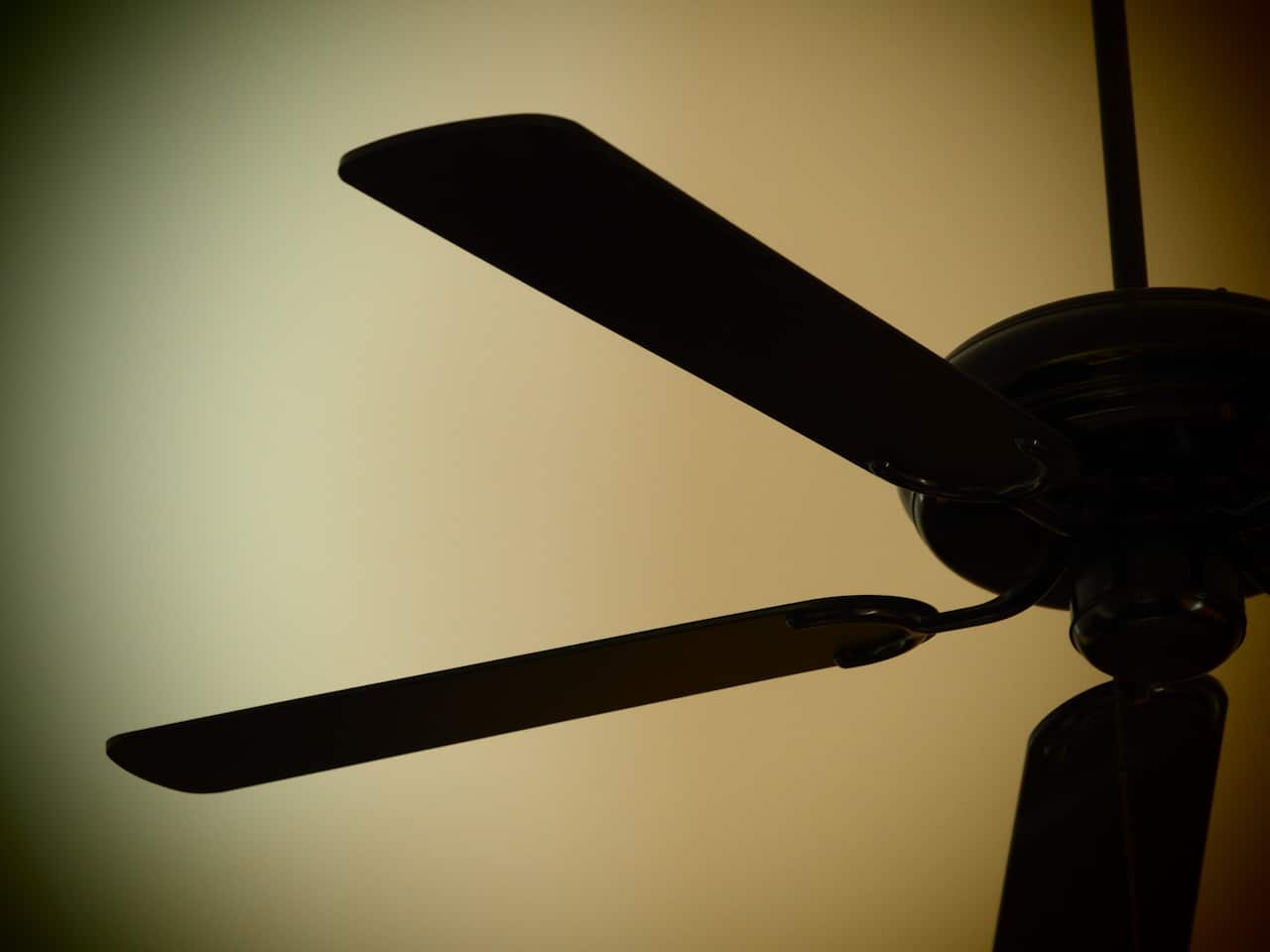 ceiling-fan-1333756.jpg
