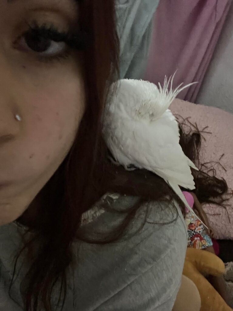 窓をノックしているニンフを見つけた