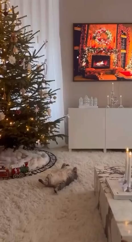 猫のクリスマス