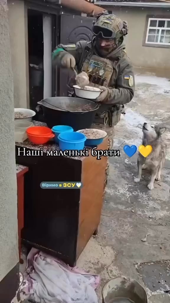 前線近くで野良犬に餌をやるウクライナ兵士。
