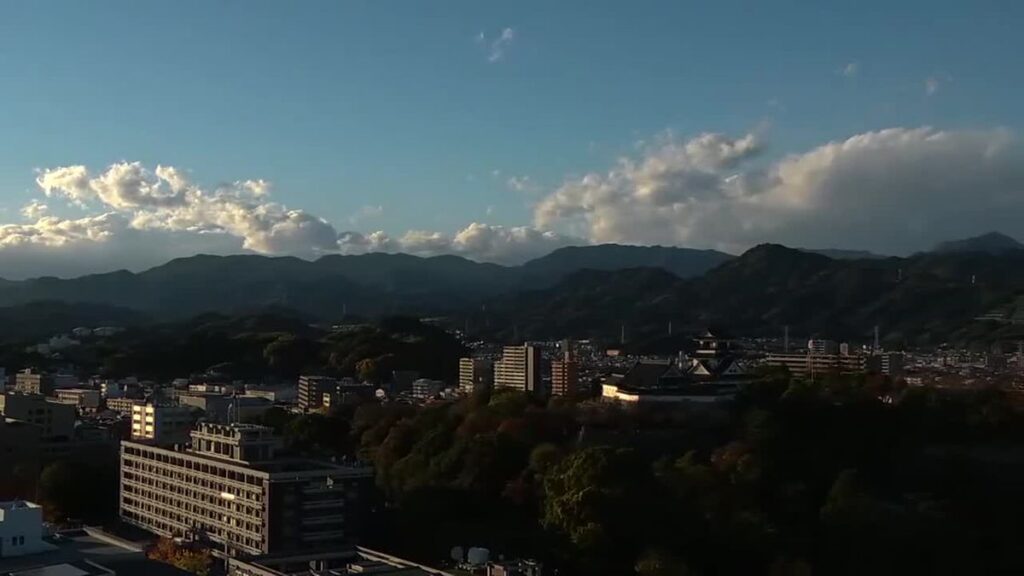 共有