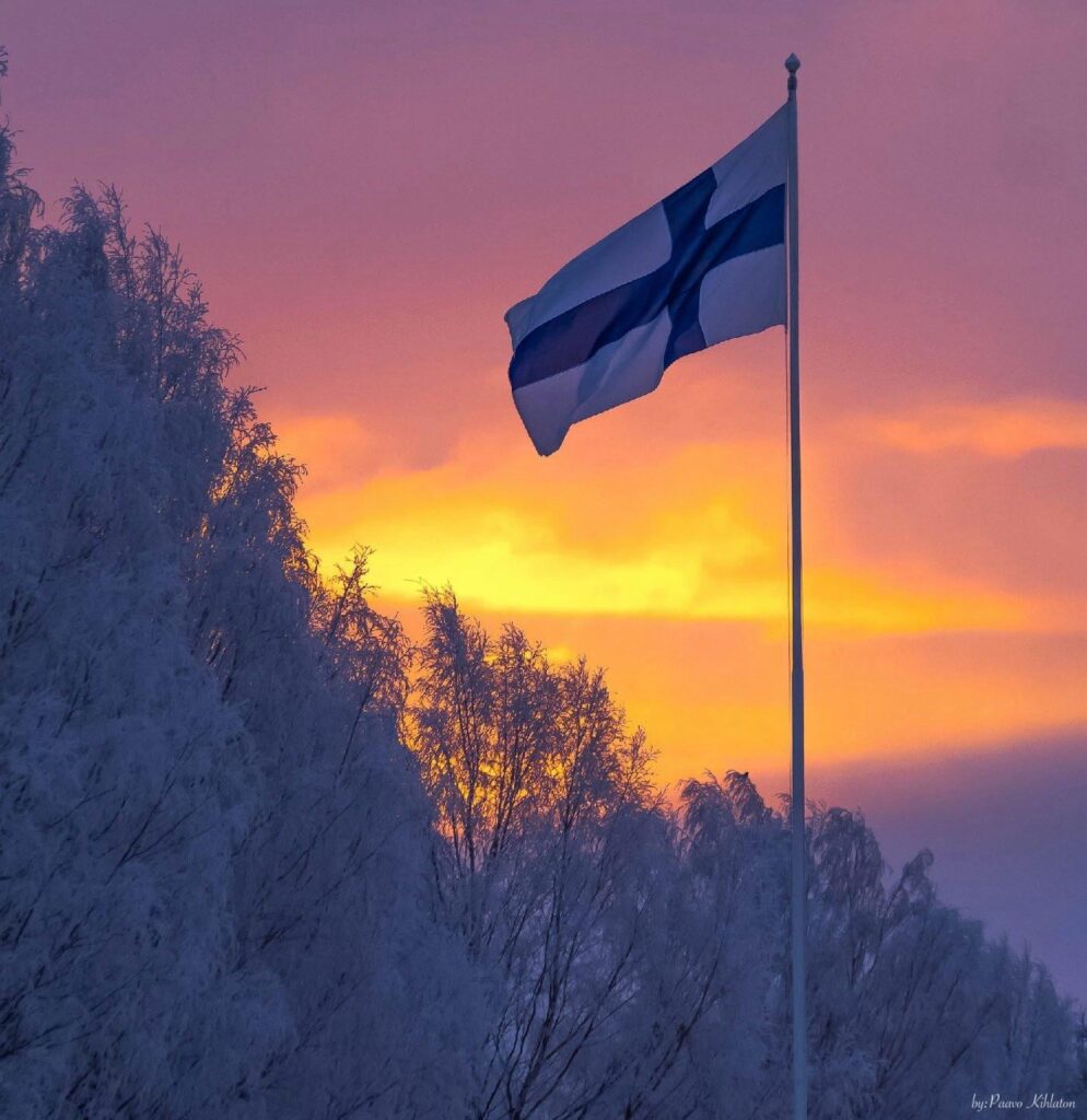 フィンランド独立記念日おめでとうございます! 🇫🇮