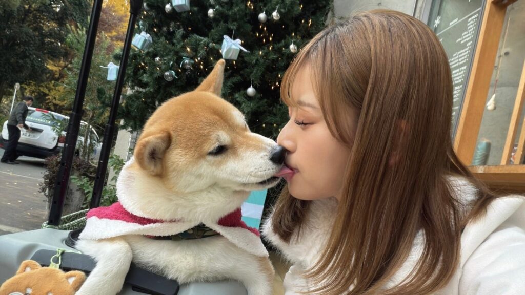 「これは反則級」DAZNガールズ・MAO、愛犬とのキス写真が破壊力抜群と反響 | 話題の投稿 | スポーツブル (スポブル)