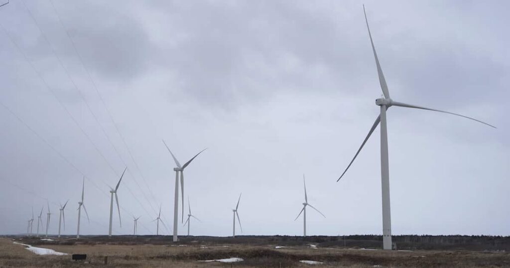 バードストライク多発の北海道の風力発電施設 鳥類接近で風車を自動停止させる新対策導入
