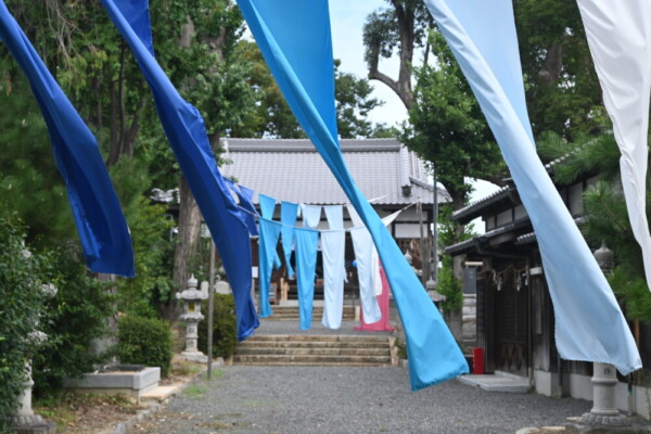 玉田神社参道のカーテン　2024年9月15日　撮影：MKタクシー