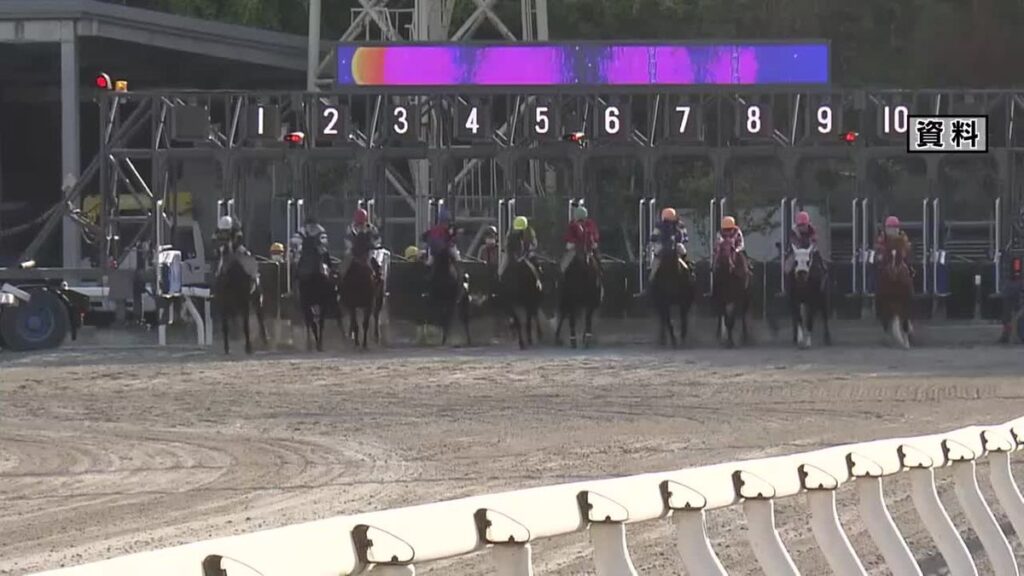 高知競馬 今年度の売り上げ初の1000億円超えの見込み! 3年連続で過去最高を更新【高知】(2025年12月3日掲載)|RKC NEWS NNN 共有
