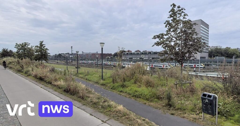 ルーヴェンで未成年者4人が同性愛嫌悪の暴力で逮捕：男性と通行人に暴行 | VRT NWS: ニュース