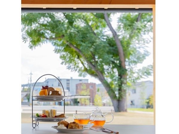 【京都府京都市】南岩本公園内の「The Paddock Cafe」で、乗馬や餌やり体験イベントを開催 | TRILL【トリル】