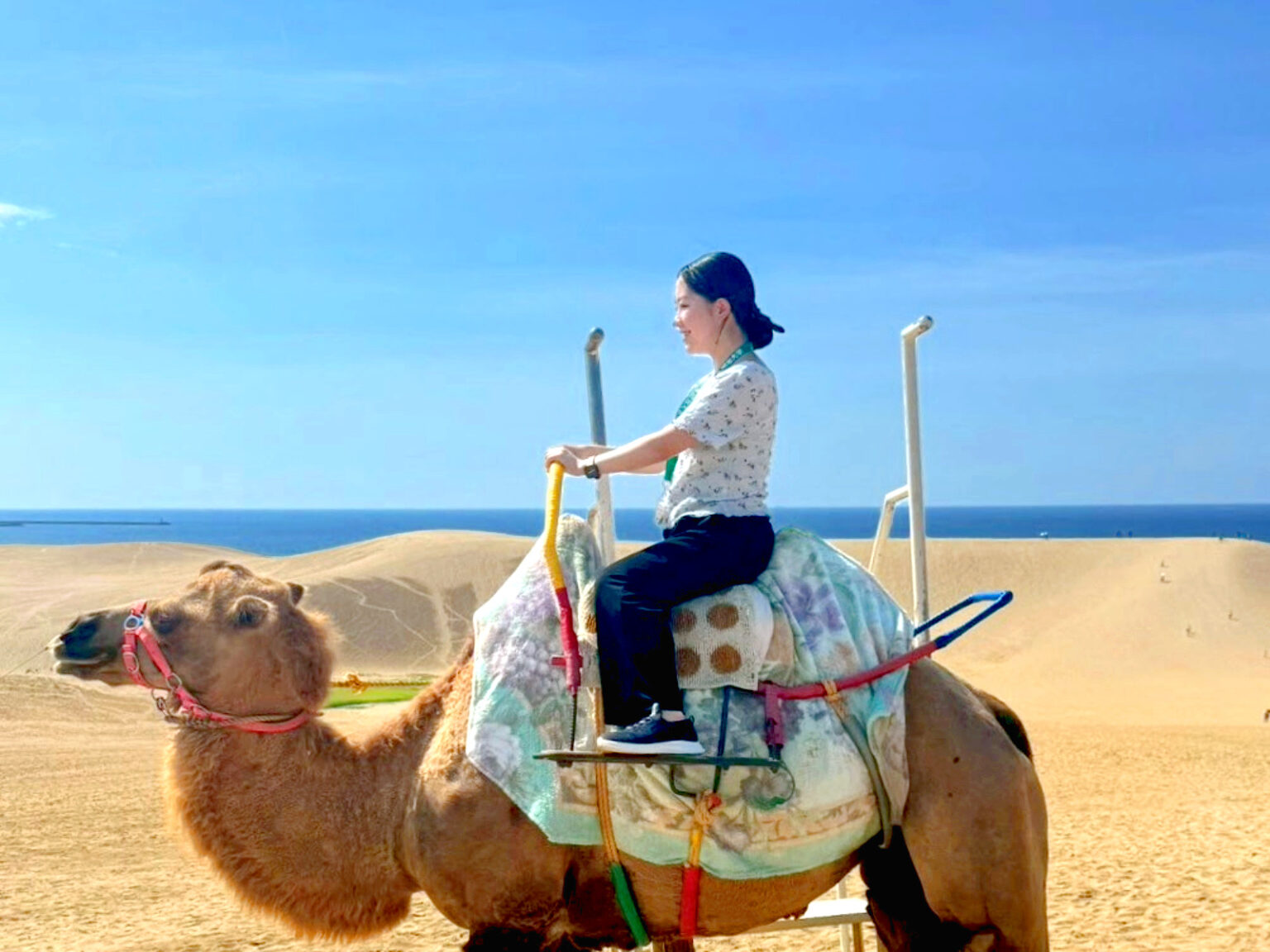 鳥取県鳥取市「県外の若者に向けた鳥取市の情報発信について」で情報サイトの作成と活用方法を提案│更田夏鈴さん | Meiji NOW