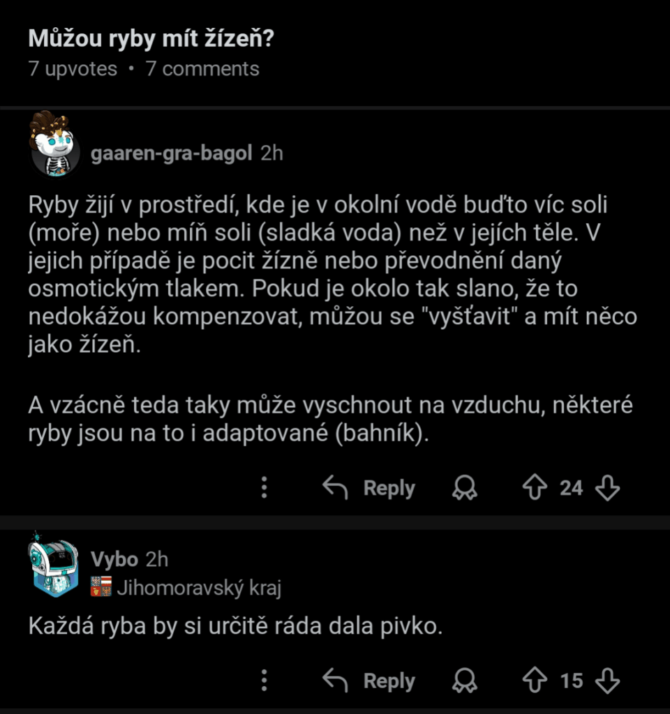 デュアリタ r/チェコ語