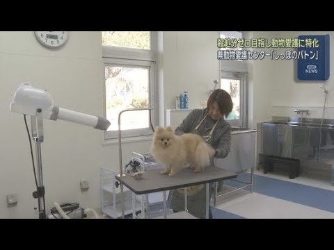 YouTube Video 静岡県動物愛護センター「しっぽのバトン」が富士市にオープン 殺処分ゼロを目指して施設には処分施設を設けず