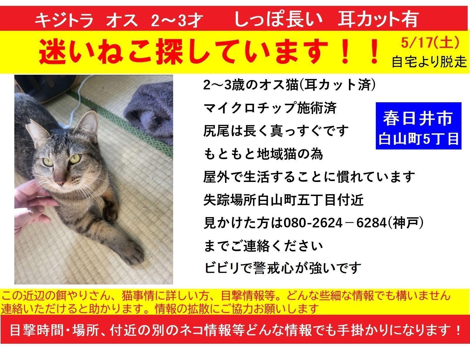 提供：ちーむにゃいんず