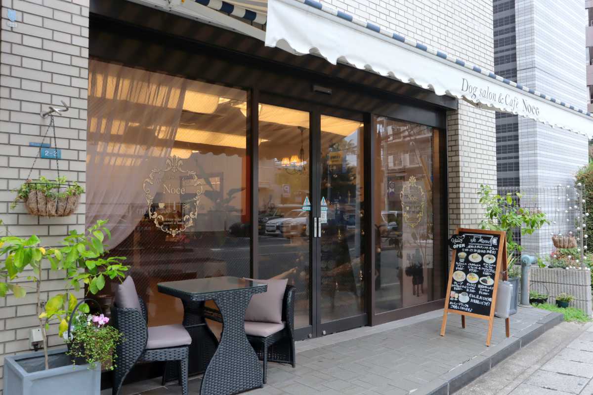 愛犬と健やかに過ごす“とっておきの場所”！磯上公園近くの『Dog salon＆Cafe Noce』 [画像]