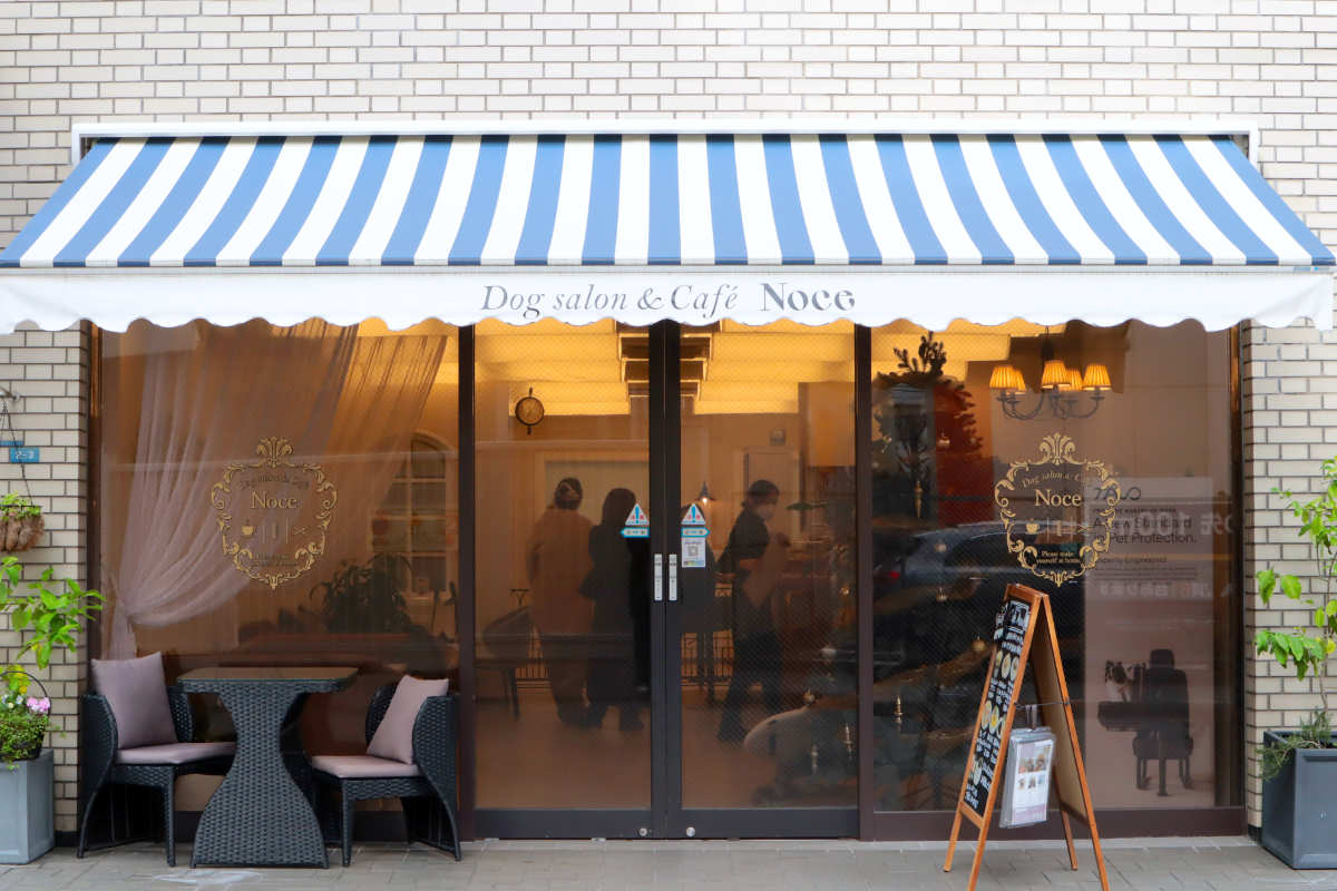 愛犬と健やかに過ごす“とっておきの場所”！磯上公園近くの『Dog salon＆Cafe Noce』 [画像]