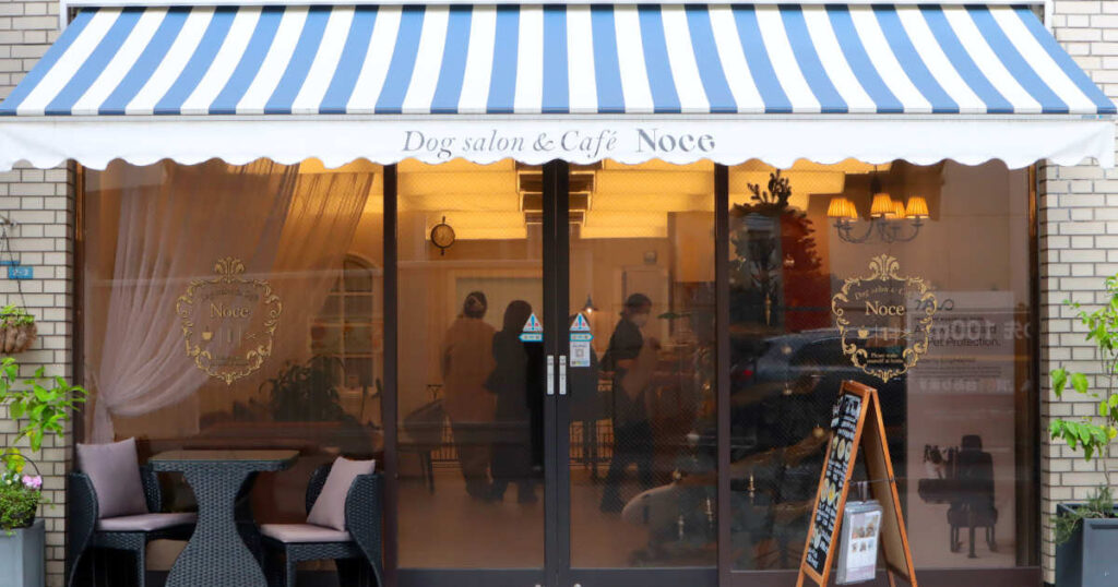 愛犬と健やかに過ごす“とっておきの場所”！磯上公園近くの『Dog salon＆Cafe Noce』 | Kiss PRESS(キッスプレス)
