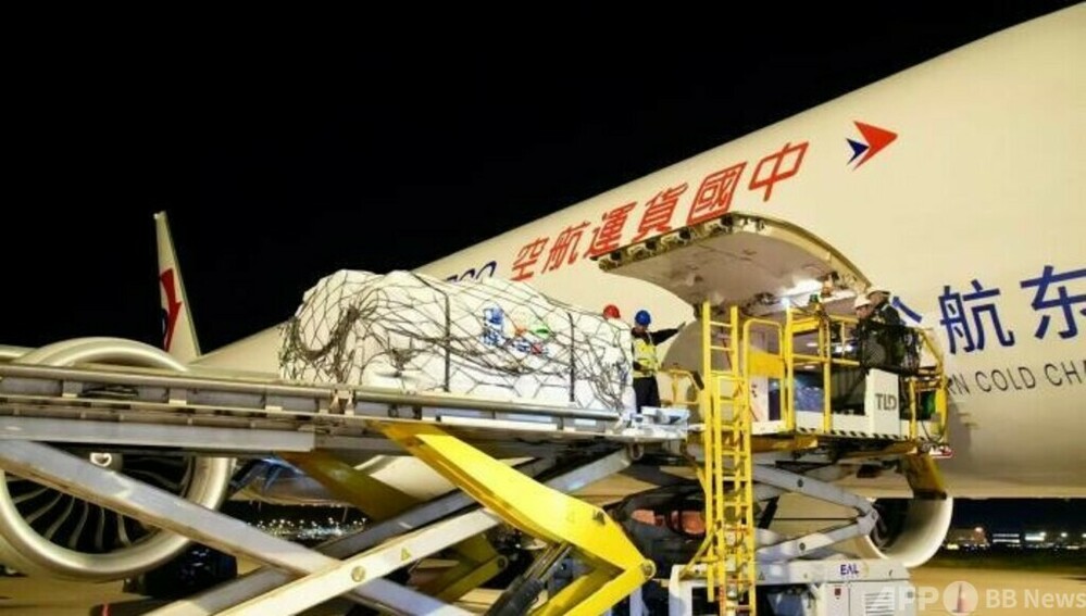 中国東方航空物流が「上海—パリ」貨物専用便を就航　写真1枚　国際ニュース：AFPBB News