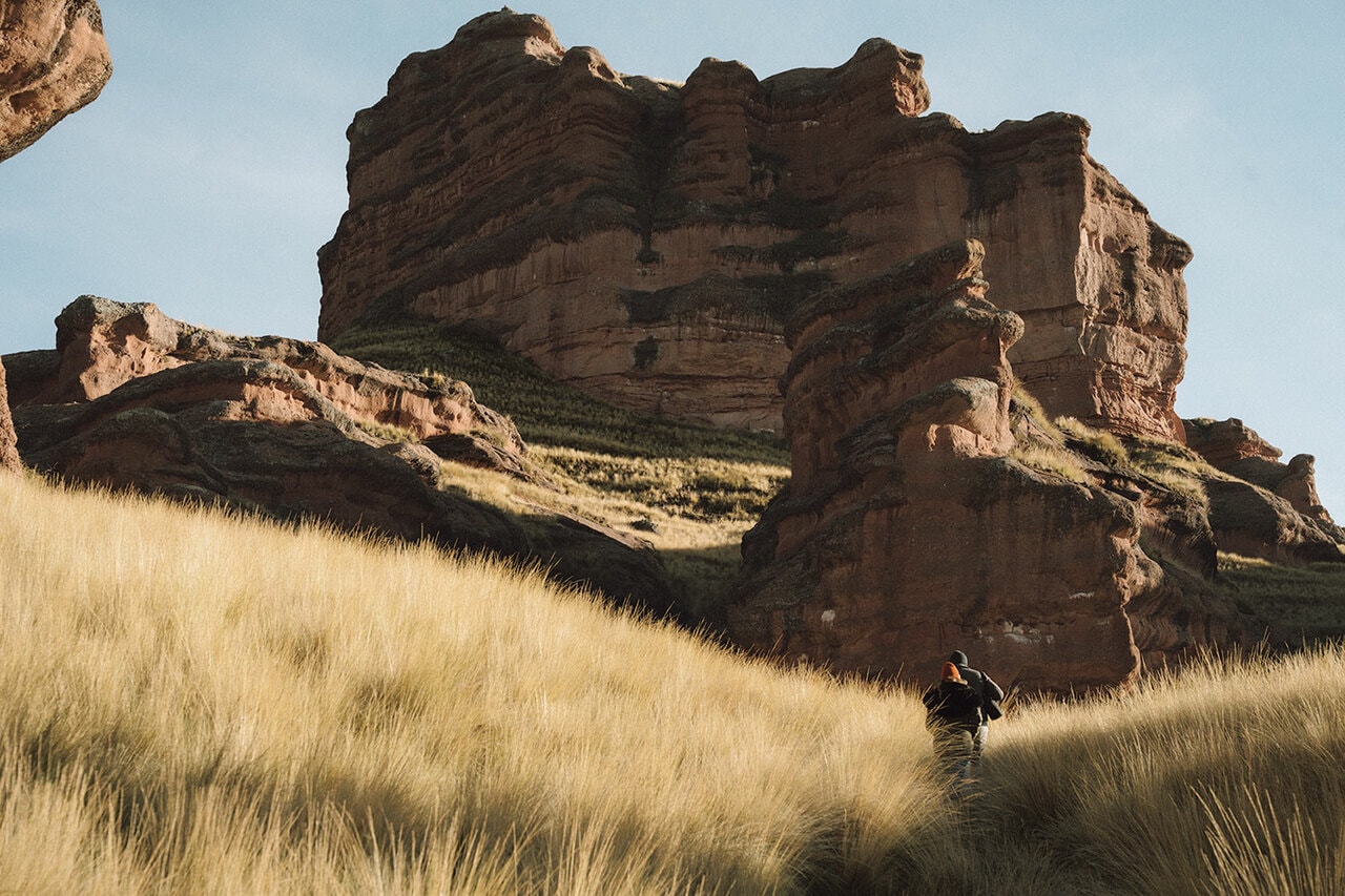 ハイキングでは固有の動物や様々な形をした巨大な岩壁に出会え、地球のスケール感が味わえる。