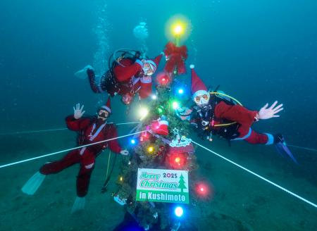 海中ツリー、飾りきらめく 和歌山・串本のクリスマス | | 全国のニュース