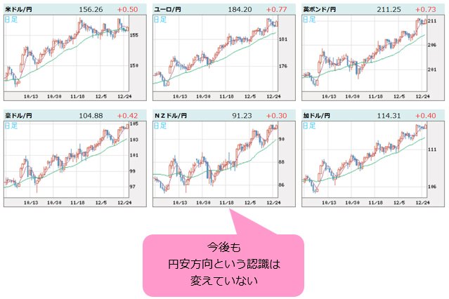 世界の通貨VS円 日足
