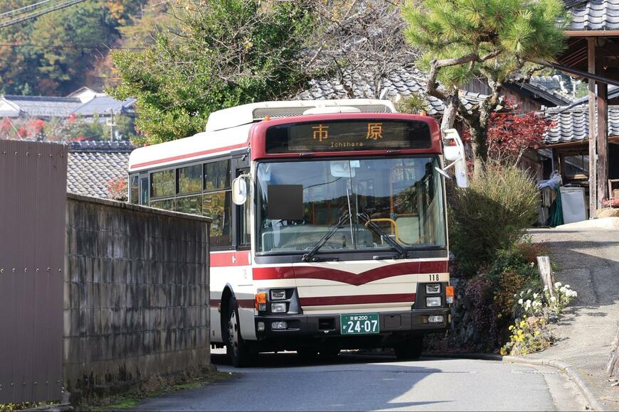 投稿の画像
