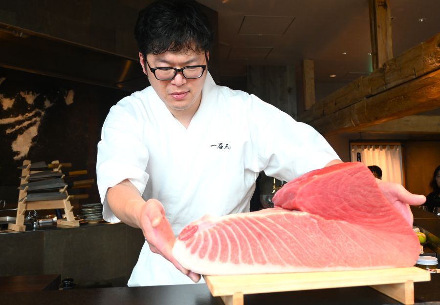 マグロ中トロ、運がよければコースに本鮪が入る日も！