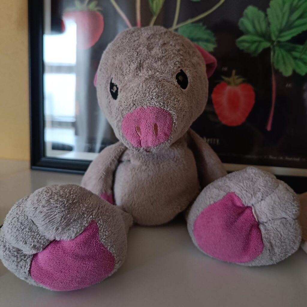 ぬいぐるみ（ブランド）を探しています。