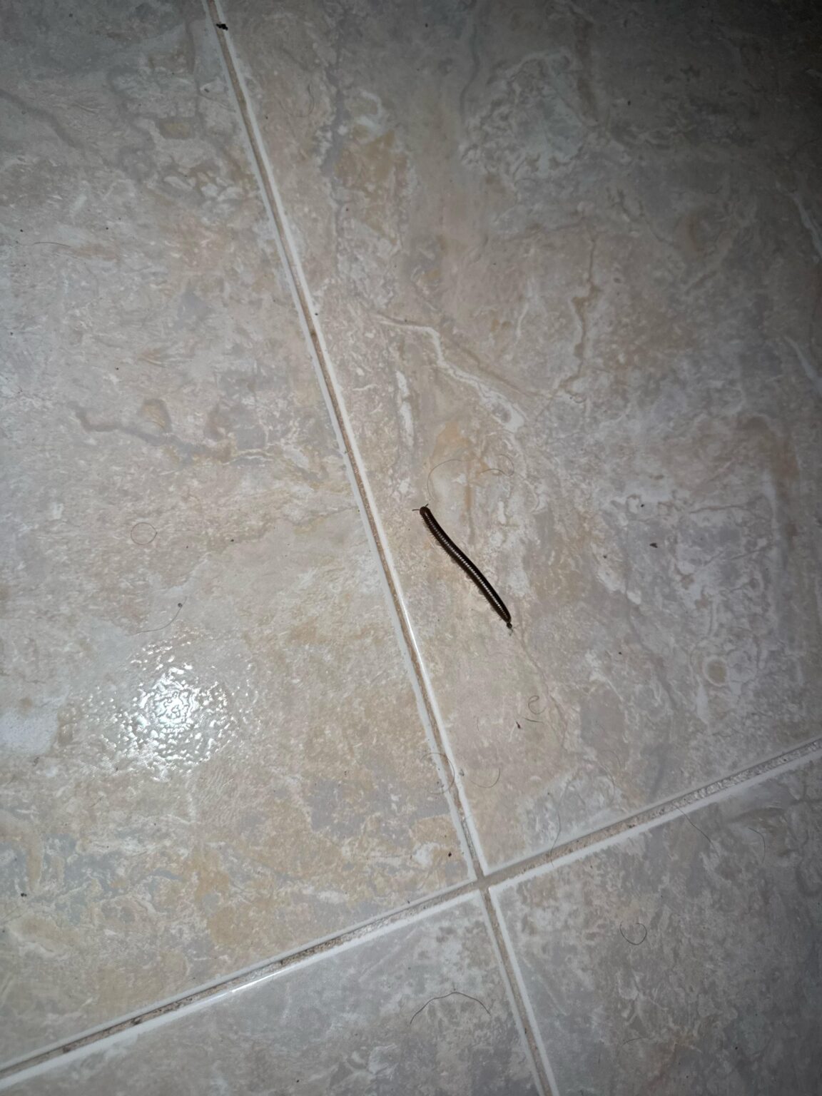 こういう奴らを追い出すにはどうすればいいでしょうか？