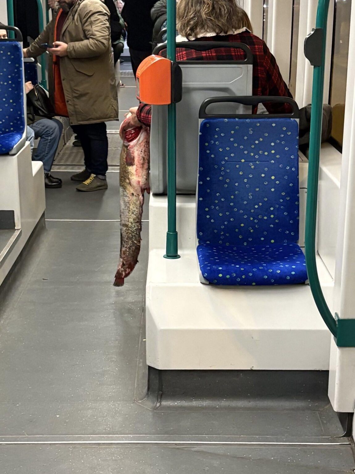誰かがクリスマスに魚を食べるでしょう