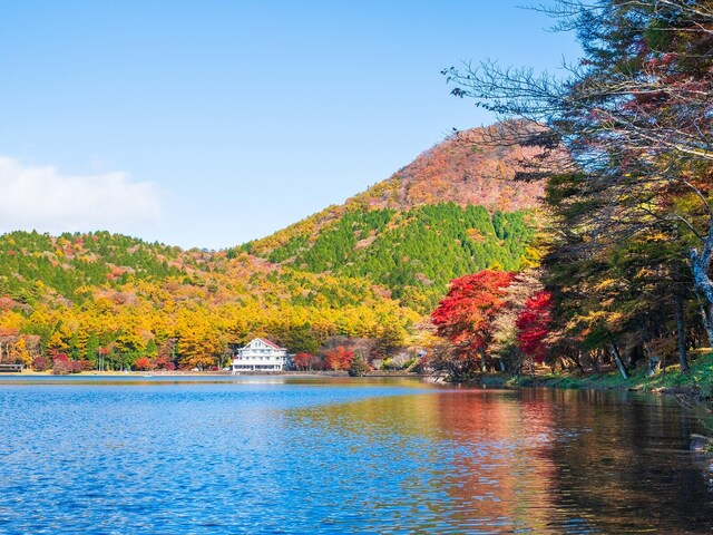 出身と聞いてすごいと思う「群馬県の私立進学校」ランキング！ 2位「樹徳高等学校」、1位は？ 【2025年調査】