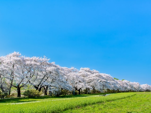 好き&飲んでみたい「岩手県の地酒」ランキング! 2位「タクシードライバー」を抑えた1位は? 【2025年調査】