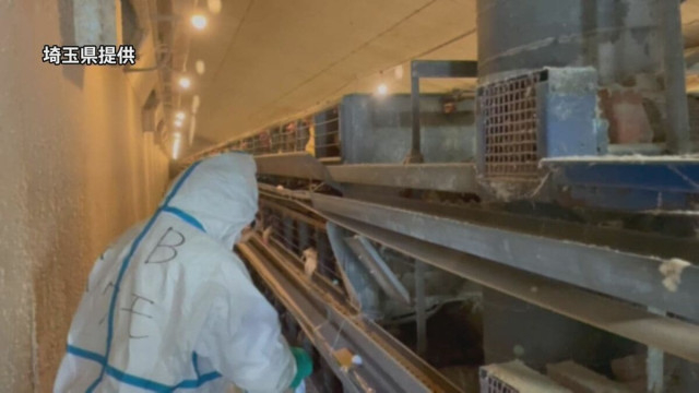 埼玉の養鶏場で鳥インフルエンザ確認 県が24万羽の処分開始