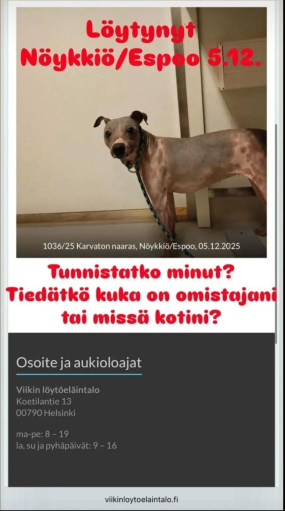 この犬は2025年12月5日にエスポーのノイキオで発見され、今も飼い主を待っている