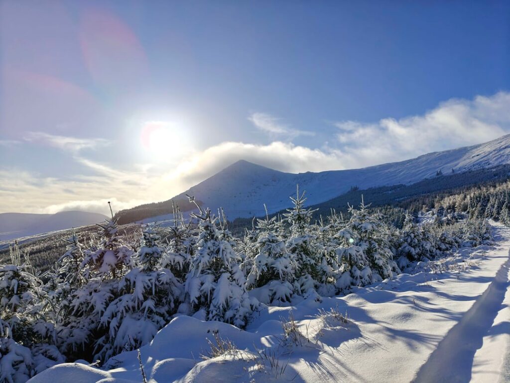 カメラの冬 vs 「夏」