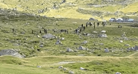 アンドラ近郊で密輸業者が線路上に車を放置しパニックを引き起こす