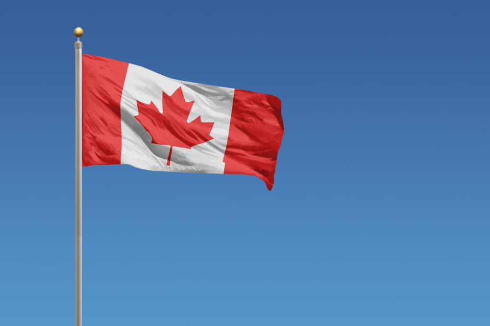 Fearing fraud, Canada rejects most Indian study permit applicants | World News