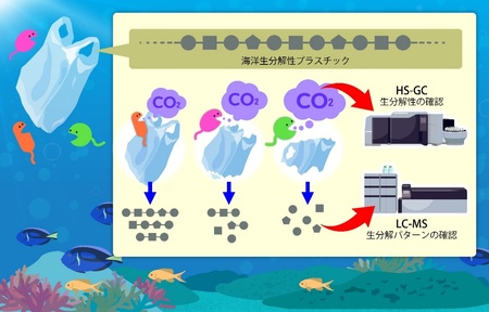 NITE 海洋生分解性プラスチックの微生物分解を見える化：紀伊民報AGARA｜和歌山県のニュースサイト
