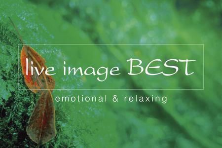 「ライブイマージュ・コンサート」に、 REAL TRAUM、Budo、石井琢磨がオープニングアクトとして出演決定！｜秋田魁新報電子版