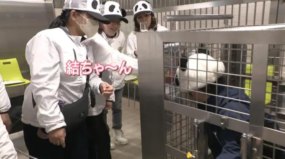 【悲報】和歌山アドベンチャーワールド、飼育員がパンダに変装して客寄せ