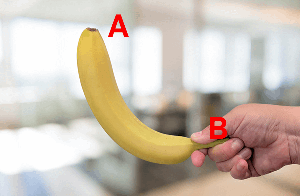 白いバナナはどうですか？
