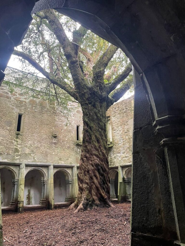 キラニーのマックロス修道院。