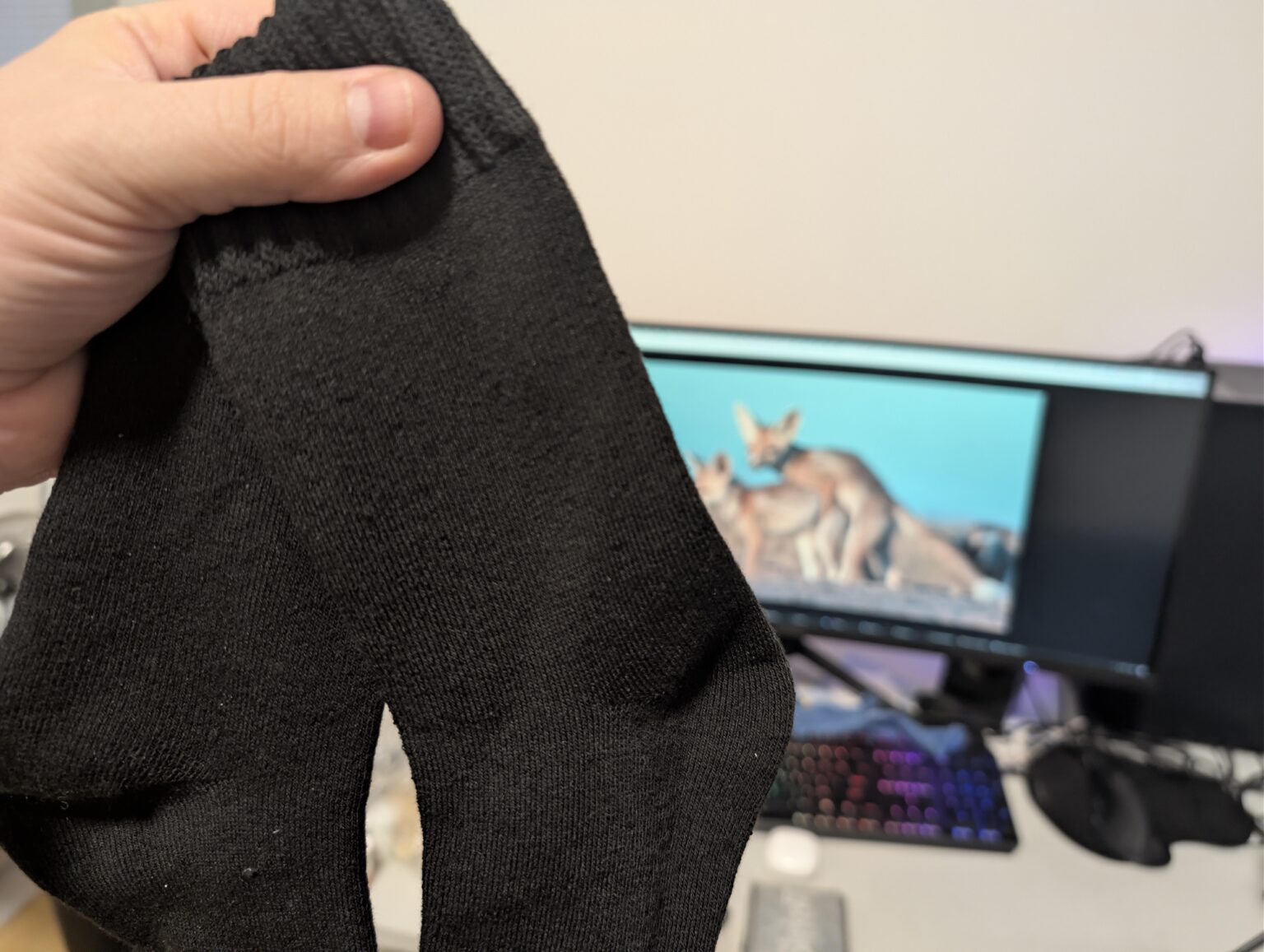 それで、木の下で何を手に入れましたか？この素敵な靴下を手に入れました